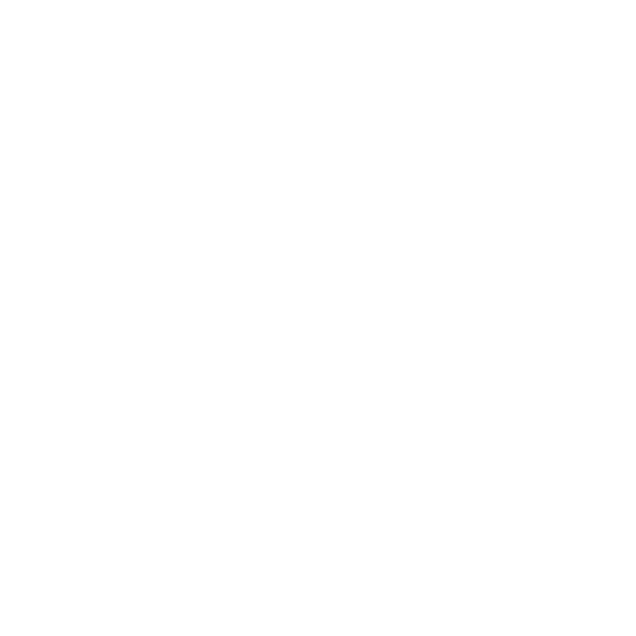 Franchise Strategy